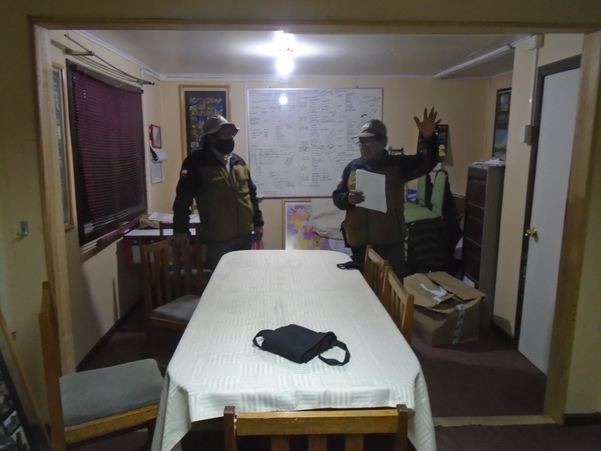 conaf_minagri's tweet photo. #CONAFAricayParinacota | Tras la coordinación inicial para los recorridos dentro de la Reserva de Biosfera Lauca, #guardaparques iniciaron su labor para lograr estimación poblacional de la #taruca, el huemul del norte. 📸Aquí dos de ellas captadas a las orillas de Putre. https://t.co/T8c90ICZ0H
