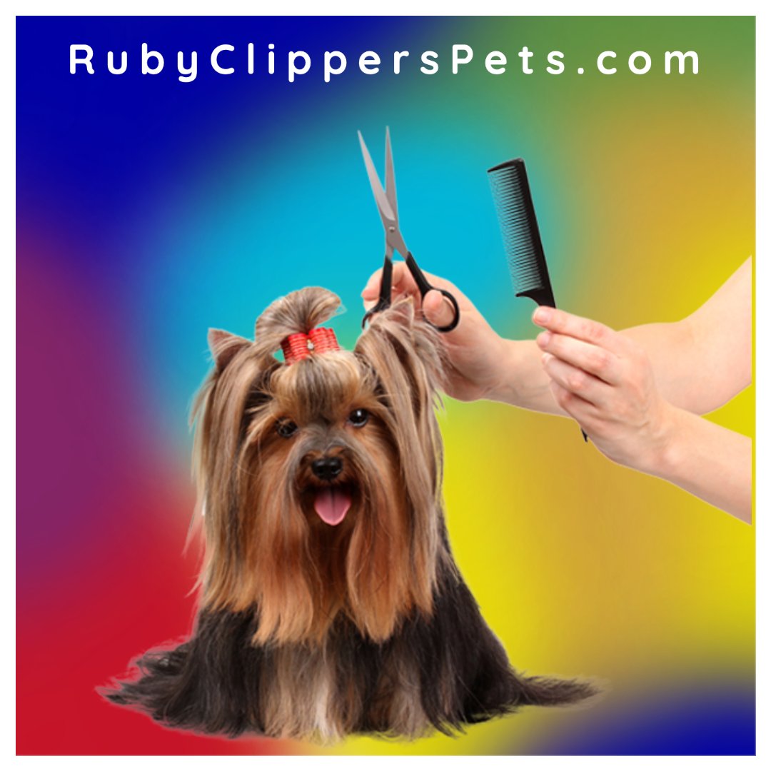 ruby clippers pet grooming