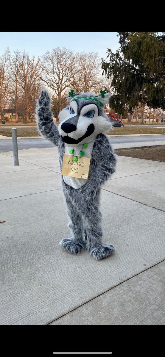 The Great Lakes Wolf made an appearance this morning... and is still without a name!  Student council will be launching the naming contest soon! ⁦<a href="/LKDSB/">Lambton Kent DSB</a>⁩