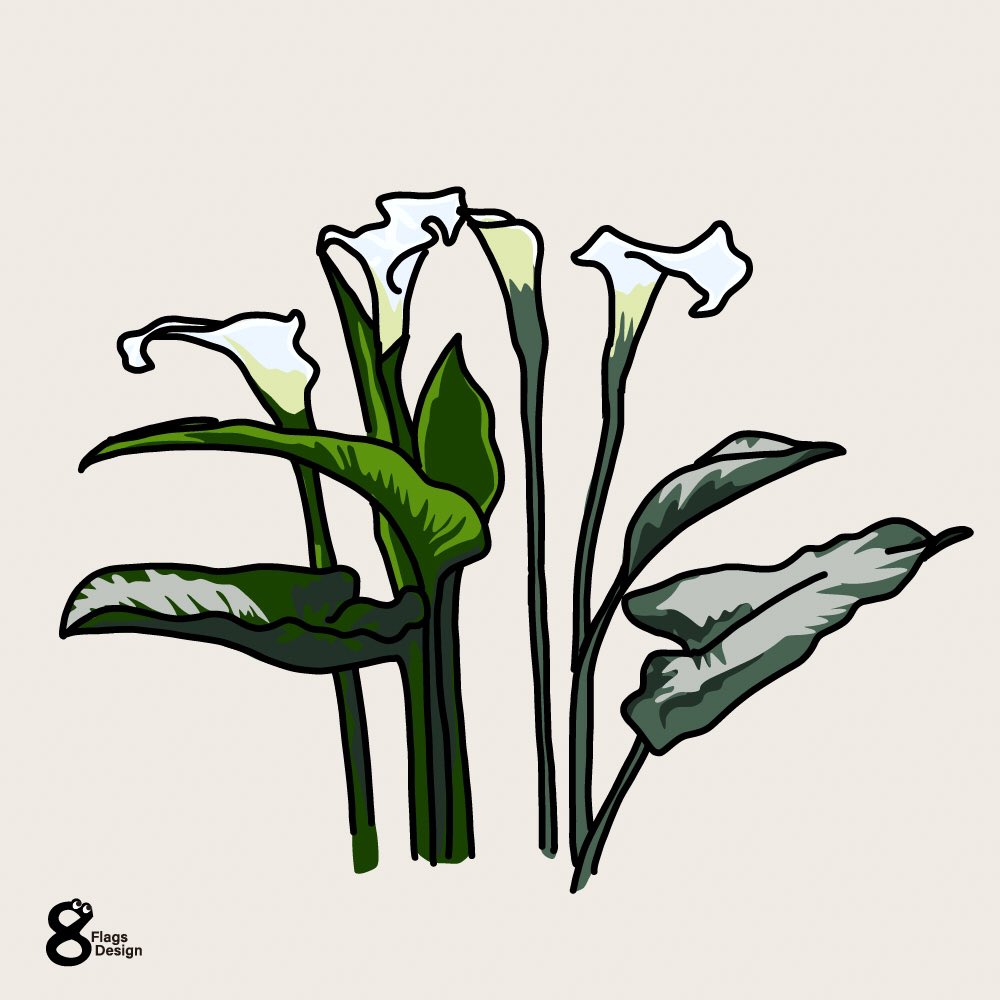 カラー 無料イラスト素材です 清楚で凛としたイメージの花 でも野生は違うよ ベクターシェルフのイラスト