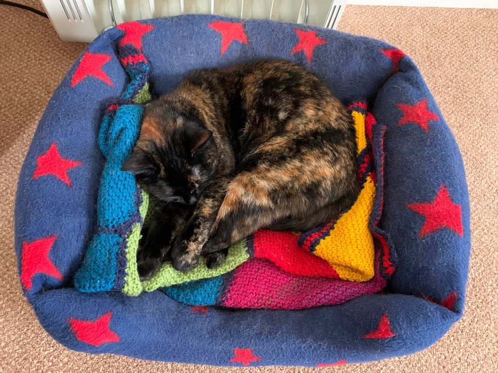 Keeping_ItLocal's tweet image. For the first time since 12th December, everyone is out! The house is lovely and quiet and its just me, my computer and the cat. Who else is enjoying a few hours of much needed calm?

#smallbusinessowner #NorthWales @nwalessocial #supportlocalbusiness