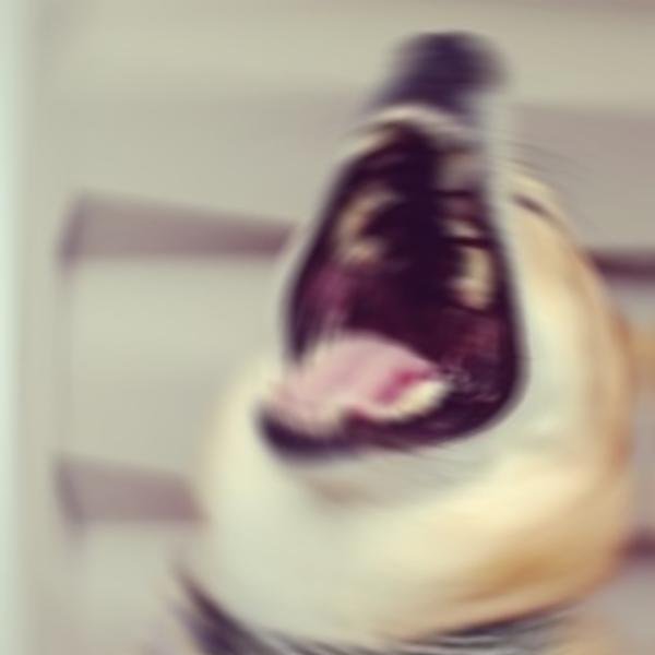 supply is unlimited they say

#dogeLAUGHS #dogecoin #dogearmy