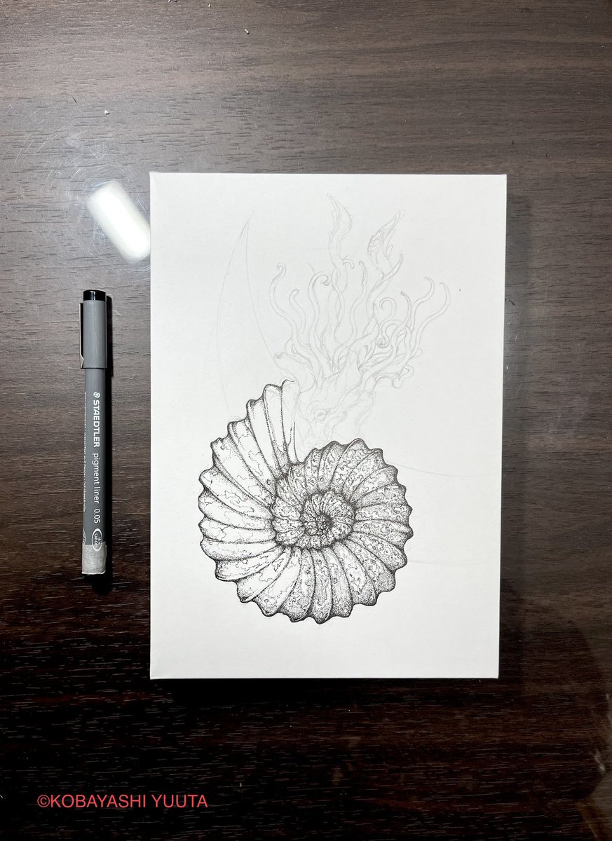 #このタグを見た人はラフ画とその完成絵を見せる

こーなってこうなる( ・∇・)

タイトル:ammonite
サイズ:SMサイズ
価格:¥20,000(送料込)
ご希望の方は、額装してお送りします。
欲しい方はDMください。
#販売中 #絵画 #絵 