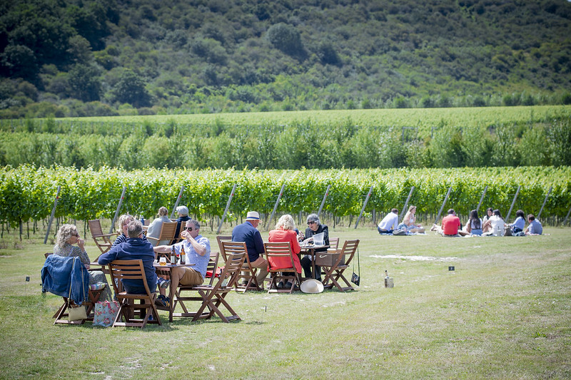 Our al fresco Vineyard picnics will be back by popular demand this summer! Our amazing hospitality team have been working around the clock to make this possible and we couldn’t be more excited to reopen. Bookings now open via our website: ow.ly/7bXr50E161k