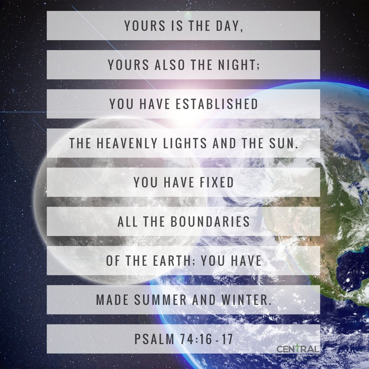 Christopher Wiles tweet media