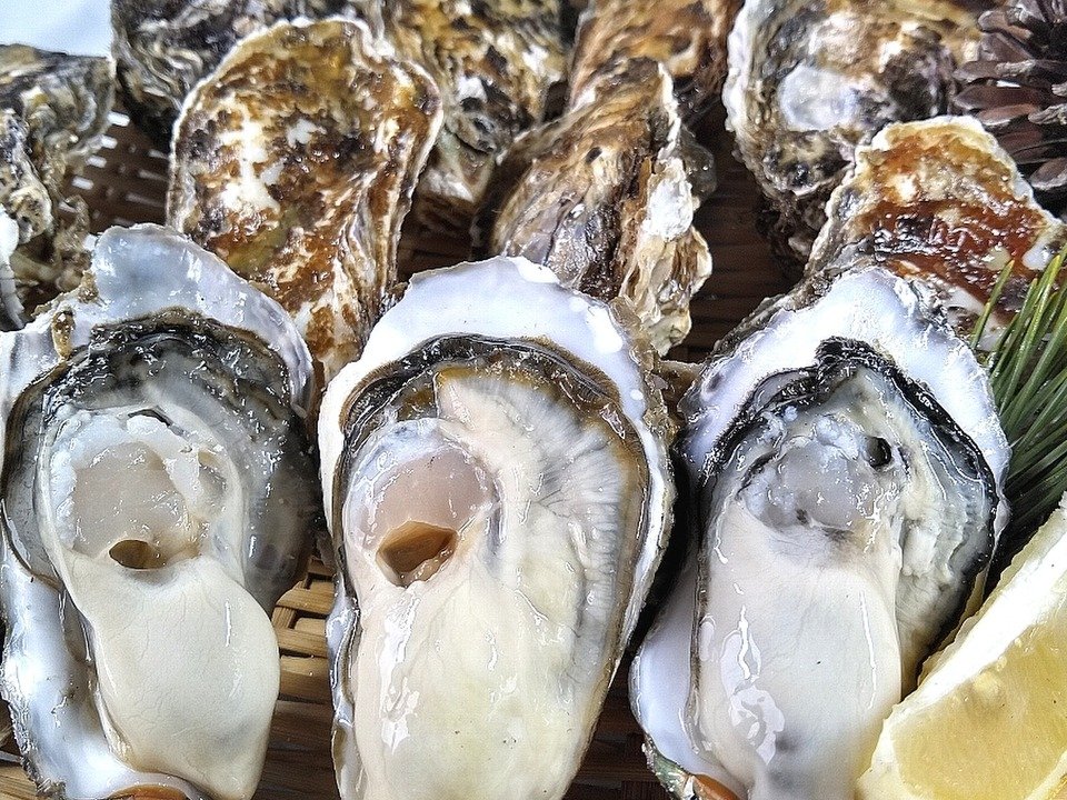 aki_rina's tweet image. 食べチョク宛にたくさんのSOSがきているため、順次こちらのページにまとめています↓↓↓
tabechoku.com/groups/178

美味しいものばかりで見ていてお腹が空いてきます…🤤ぜひ一度のぞいてみてください。

#農家漁師からのSOS