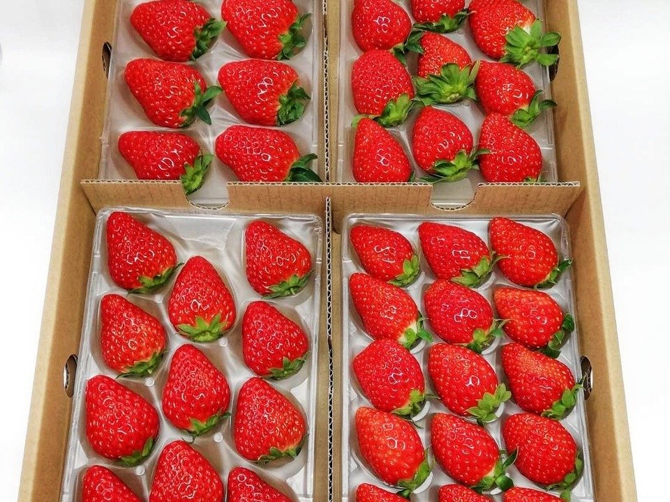 aki_rina's tweet image. 食べチョク宛にたくさんのSOSがきているため、順次こちらのページにまとめています↓↓↓
tabechoku.com/groups/178

美味しいものばかりで見ていてお腹が空いてきます…🤤ぜひ一度のぞいてみてください。

#農家漁師からのSOS