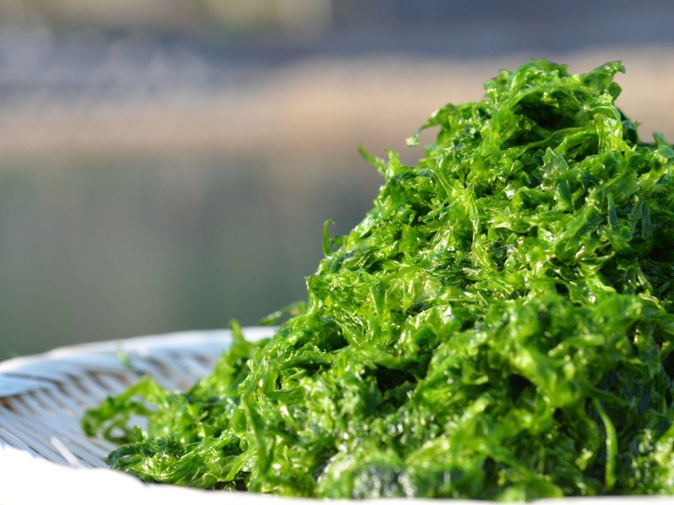 aki_rina's tweet image. 食べチョク宛にたくさんのSOSがきているため、順次こちらのページにまとめています↓↓↓
tabechoku.com/groups/178

美味しいものばかりで見ていてお腹が空いてきます…🤤ぜひ一度のぞいてみてください。

#農家漁師からのSOS