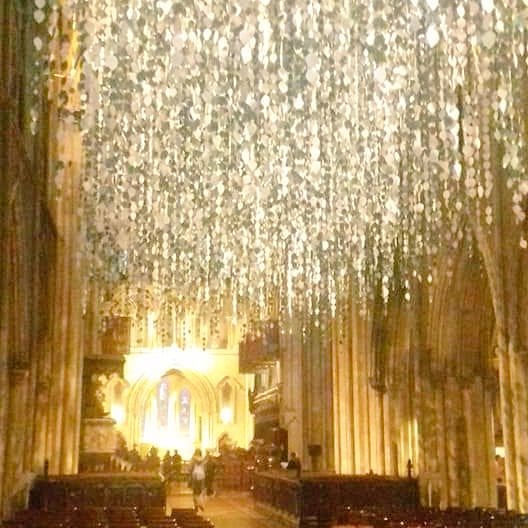 IO33765338's tweet image. #StPatricksDay