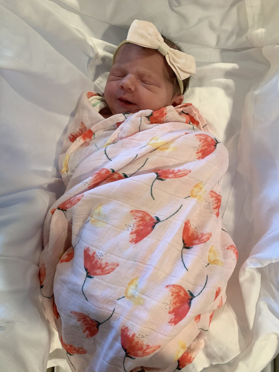 GallagherLTHS's tweet photo. The newest little Trail Blazer 💛 Mallory Gallagher https://t.co/cdQTd0OPsn