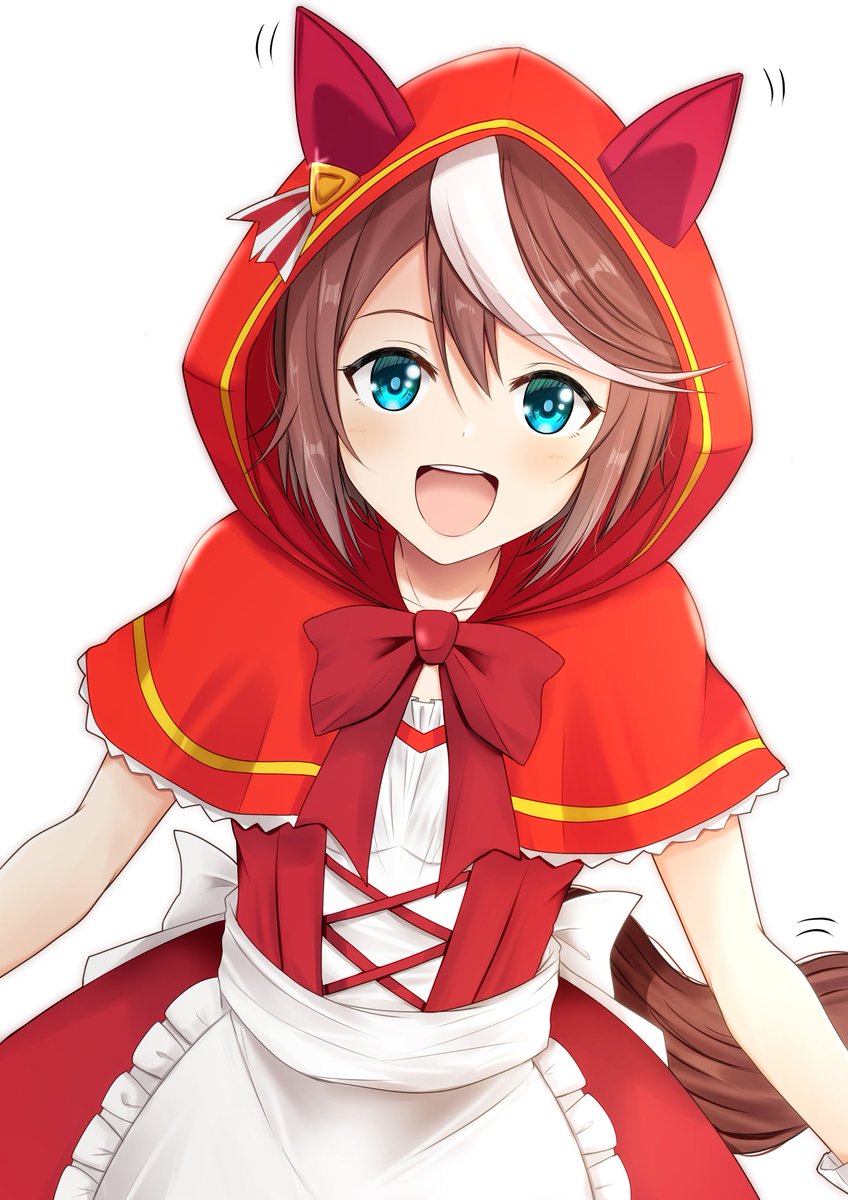 tokai teio (umamusume) 1girl red capelet animal ears solo horse ears brown hair horse girl  illustration images