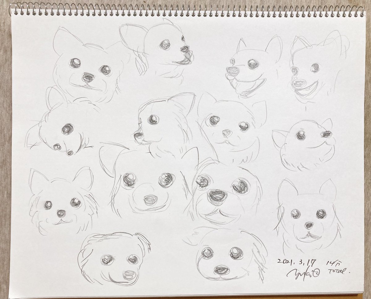 ゆき たくさん会いたくなる夜もある スマホの壁紙にしてるのにね 5分の習慣 5分クロッキー 今日のナナ 犬スケッチ 犬絵 チワワイラスト チワワスケッチ