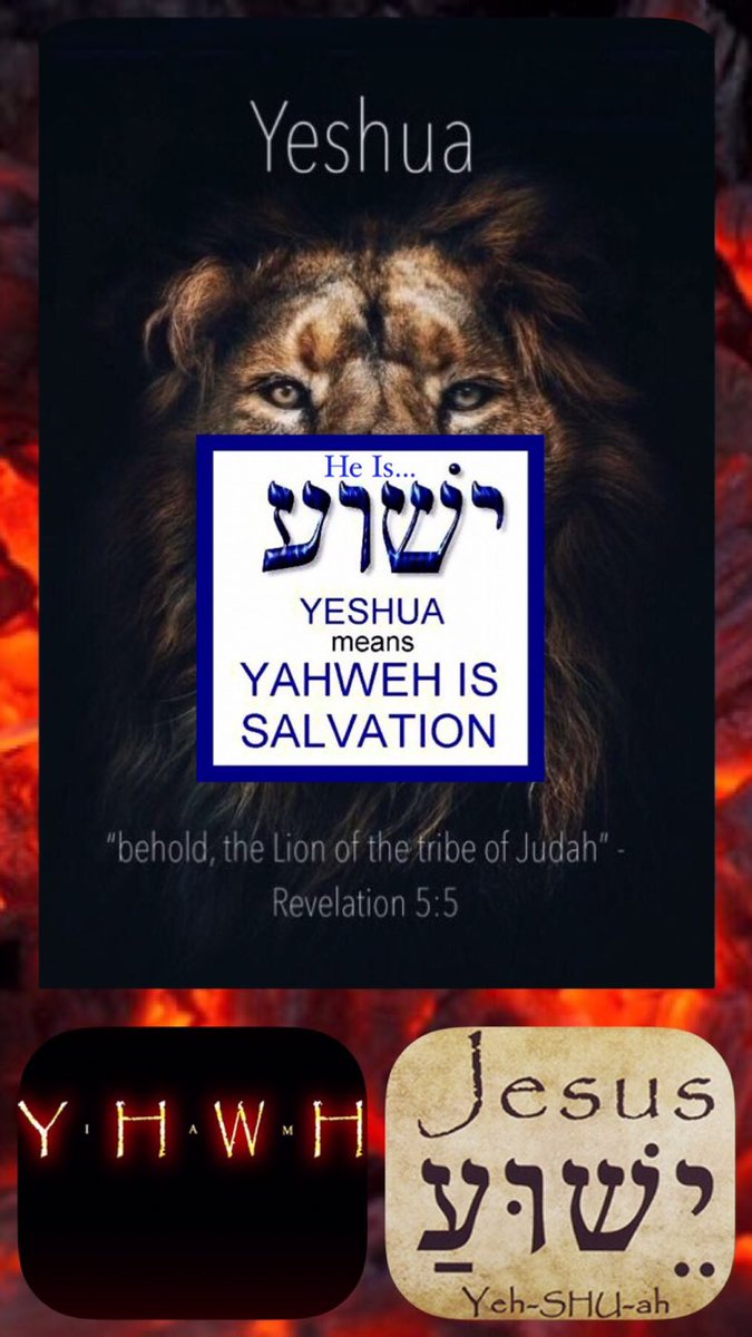 bbbthatsright's tweet photo. He Is... (Part 22):
https://t.co/j82yEsOMBf
#YHWH #Yeshua #Yahweh #Jesus #Salvation #TheResurrection #TheSentOfTheFather #Love #TheWord #TrueFood #MatthewOne21 #TheWay #Christian #GodIsLove https://t.co/5hiLk4WXf3