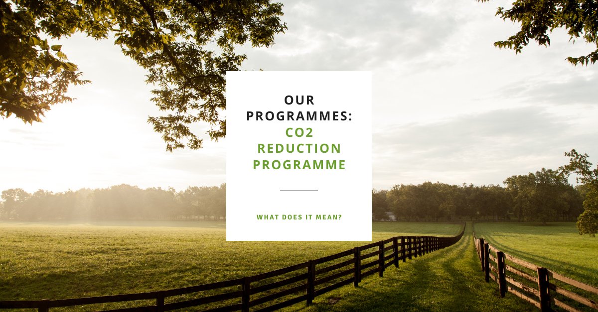 Re-Generation Earth tweet media