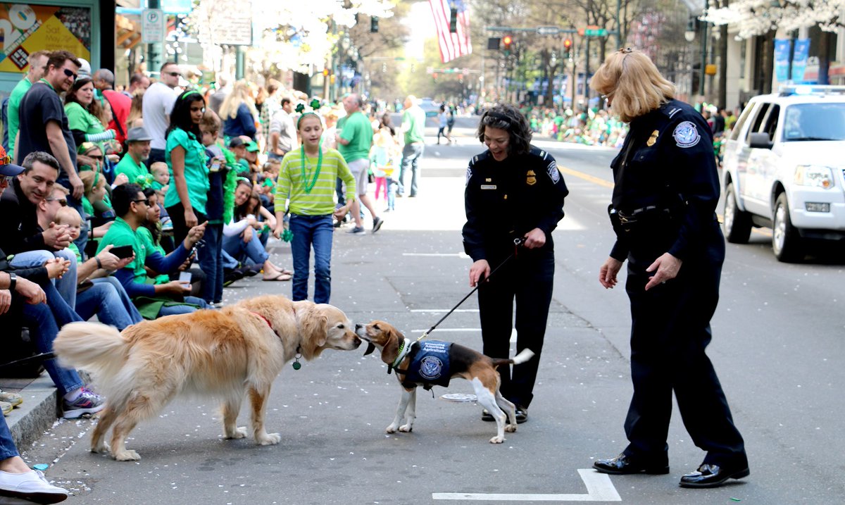 CBP Southeast tweet media