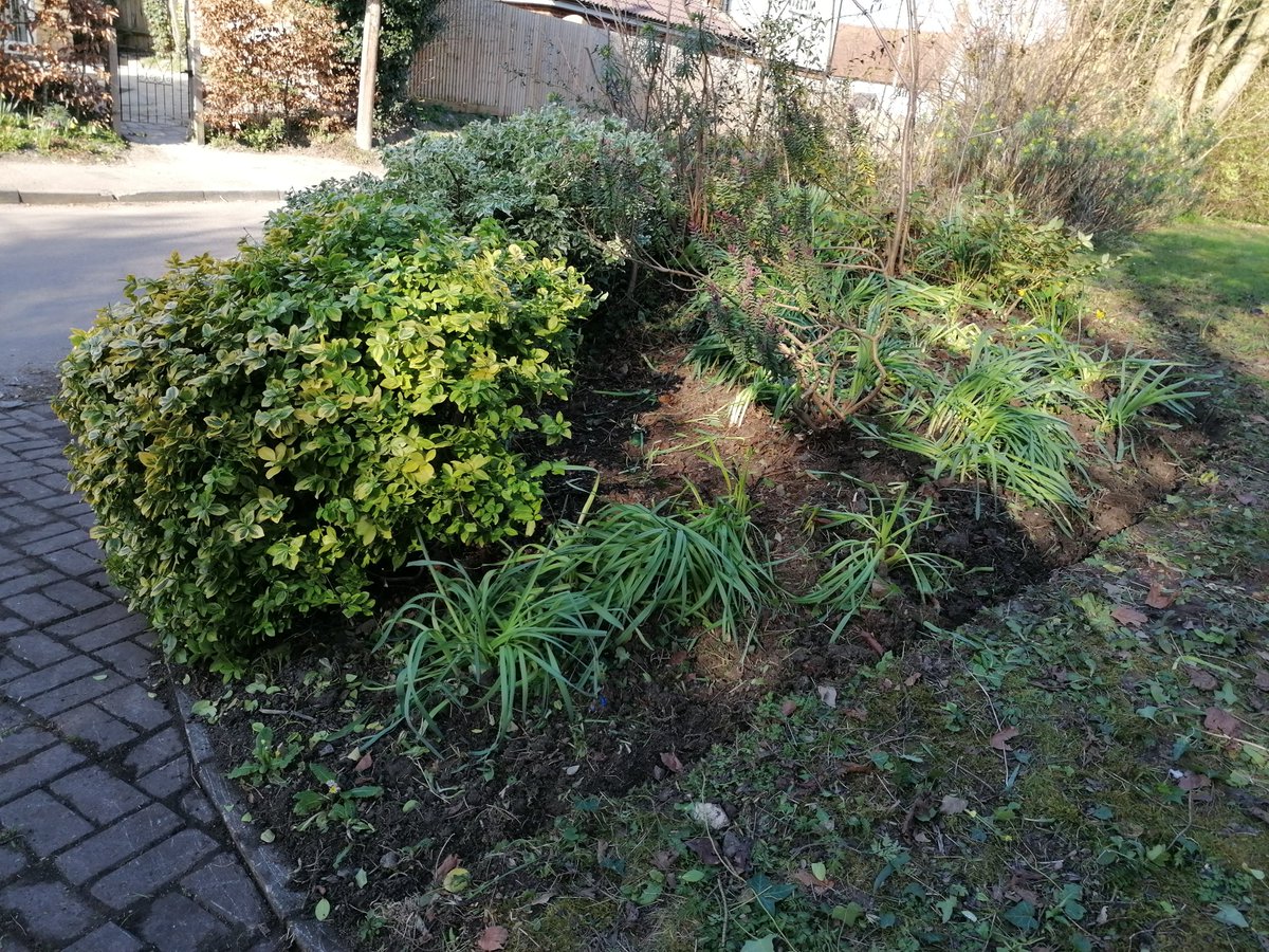 ARCHCAROLINE's tweet photo. An ongoing Garden tidy and already it looks so much better.
We are finding plants the customer never knew were there. Among other interesting things 😂
#archgardening #womeningardening #gardening #gardentidy #weeding #pruning #cutback #transform #looksbetter #spring https://t.co/X7icA3bFdA