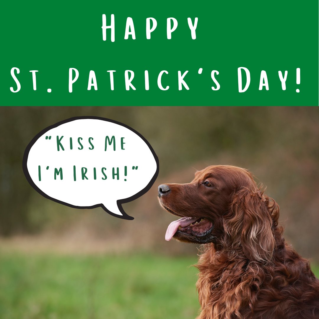 mipupico's tweet photo. Happy St. Patrick's Day! Wishing you lots of love and luck this year - Irish or not! https://t.co/Pk3sfH8mPy
