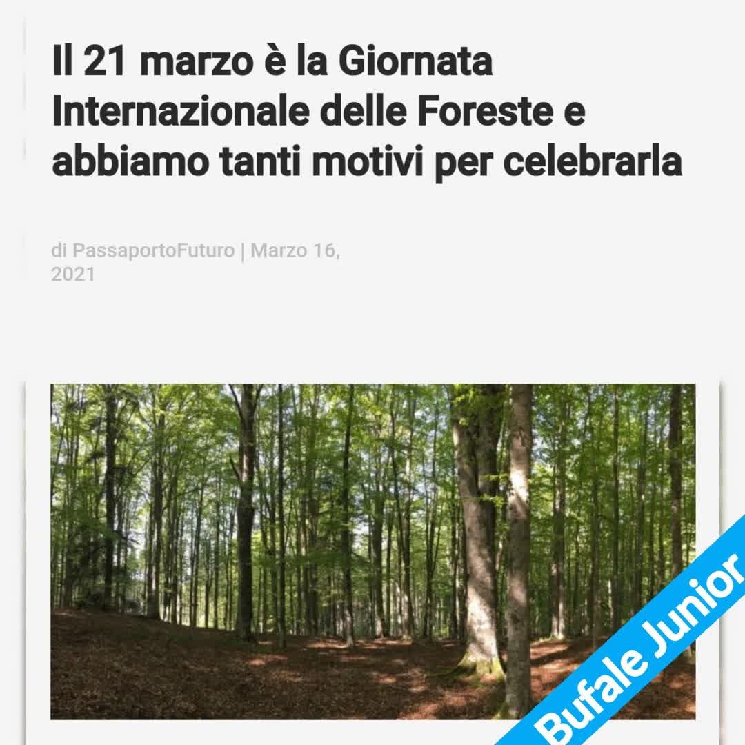 filogicoX's tweet photo. Per troppo tempo abbiamo visto gli alberi come oggetti puramente funzionali o ornamentali: decorano i bordi delle strade della città; ci danno punti ombreggiati per riposare..
#bufalejunior #GiornataInternazionaleDelleForeste #idf #InternationalDayOfForest
https://t.co/3vZN3CE2ft https://t.co/iTB5zEsya5