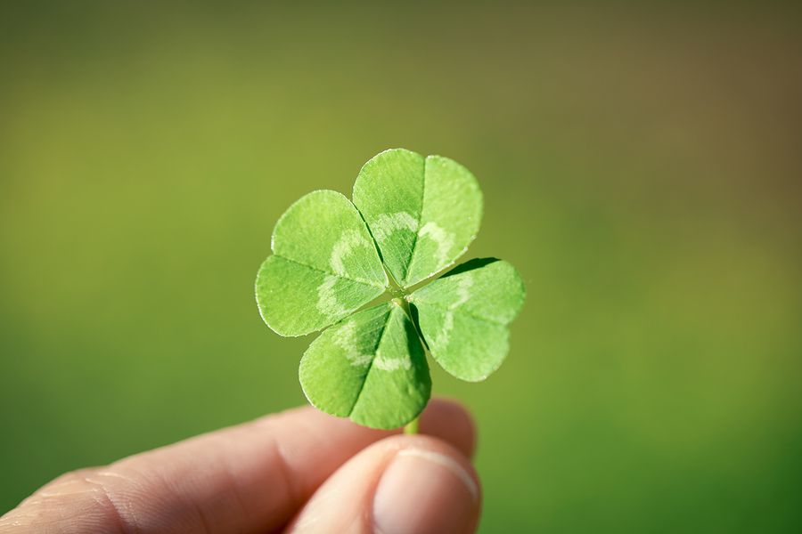 roicons's tweet image. Are you relying on luck to deliver your e-commerce products on time? #Sage100integration with @INSYNCH_Sage 100 eliminates the guess-work and streamlines e-commerce processes. buff.ly/3stPgvr