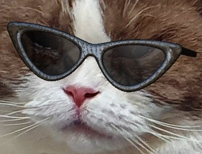 근데 지금은... 쿠욬둘이 진짜 사귀는거같아서.... 음 ~