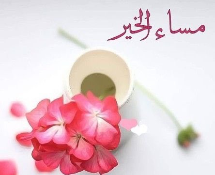 ما أجمل الحياة عندما تكتسب أصدقاءً أوفياء
 لا يجيدون التصنع ولا يتلاعبون بالأقنعة، فتبقى ذكرياتنا معهم رمزاً لكلّ شيء جميل