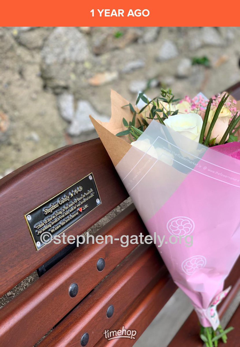 steo_gately's tweet image. One year ago ❤️❤️ #RememberingSteo #SteoMemorialBench