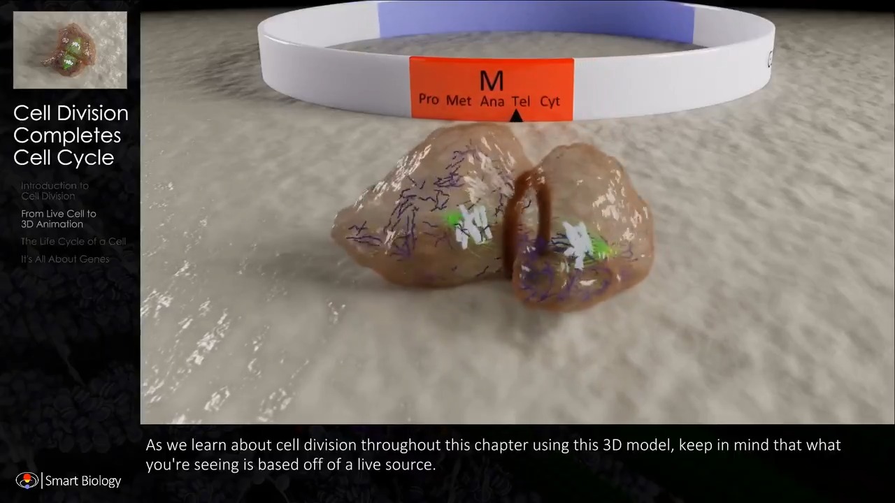 Smart Biology on Twitter: Smart Biology on Twitter: