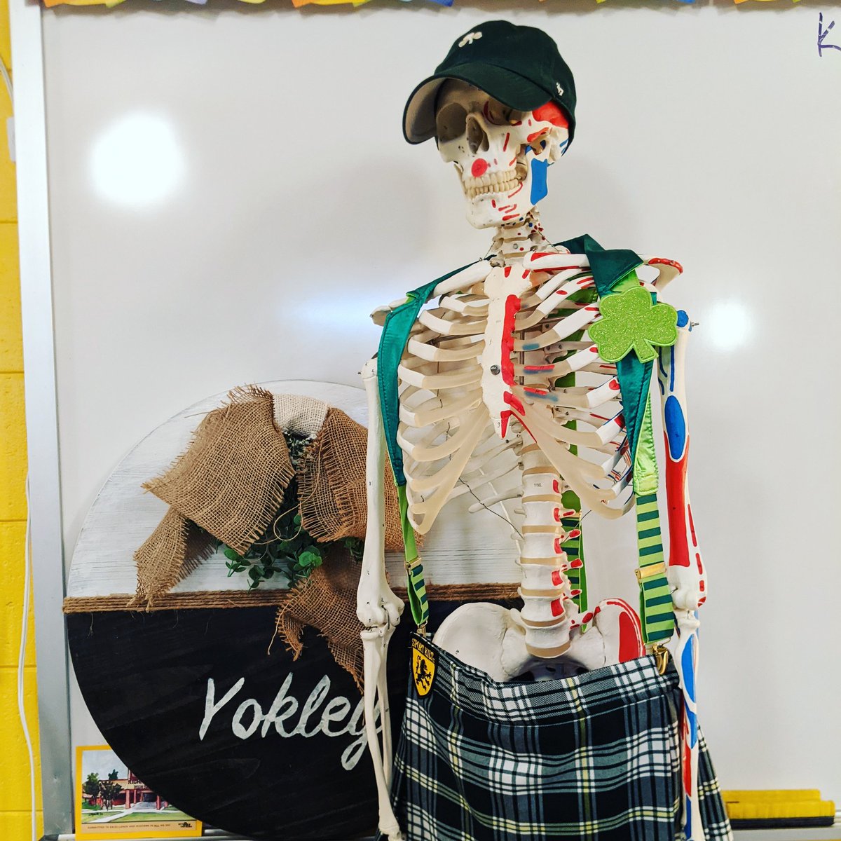 skeleton_george's tweet photo. Happy St Patrick's Day!

May the road rise to meet you
May the wind be always at your back.
May the sun shine warm upon your face,
The rains fall soft upon your fields.
@RhhsYokley https://t.co/oOfmxRyNYL