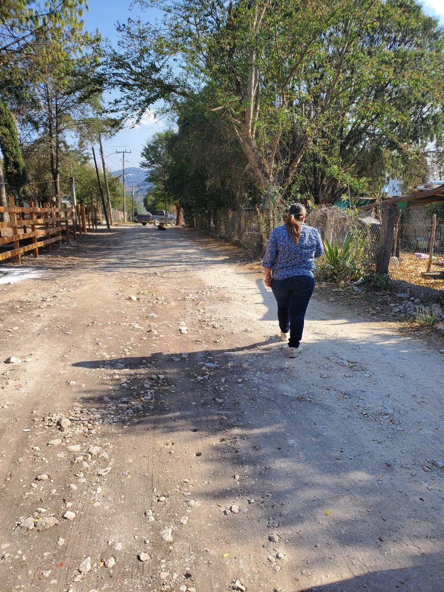 Vamos forjando nuestro camino.