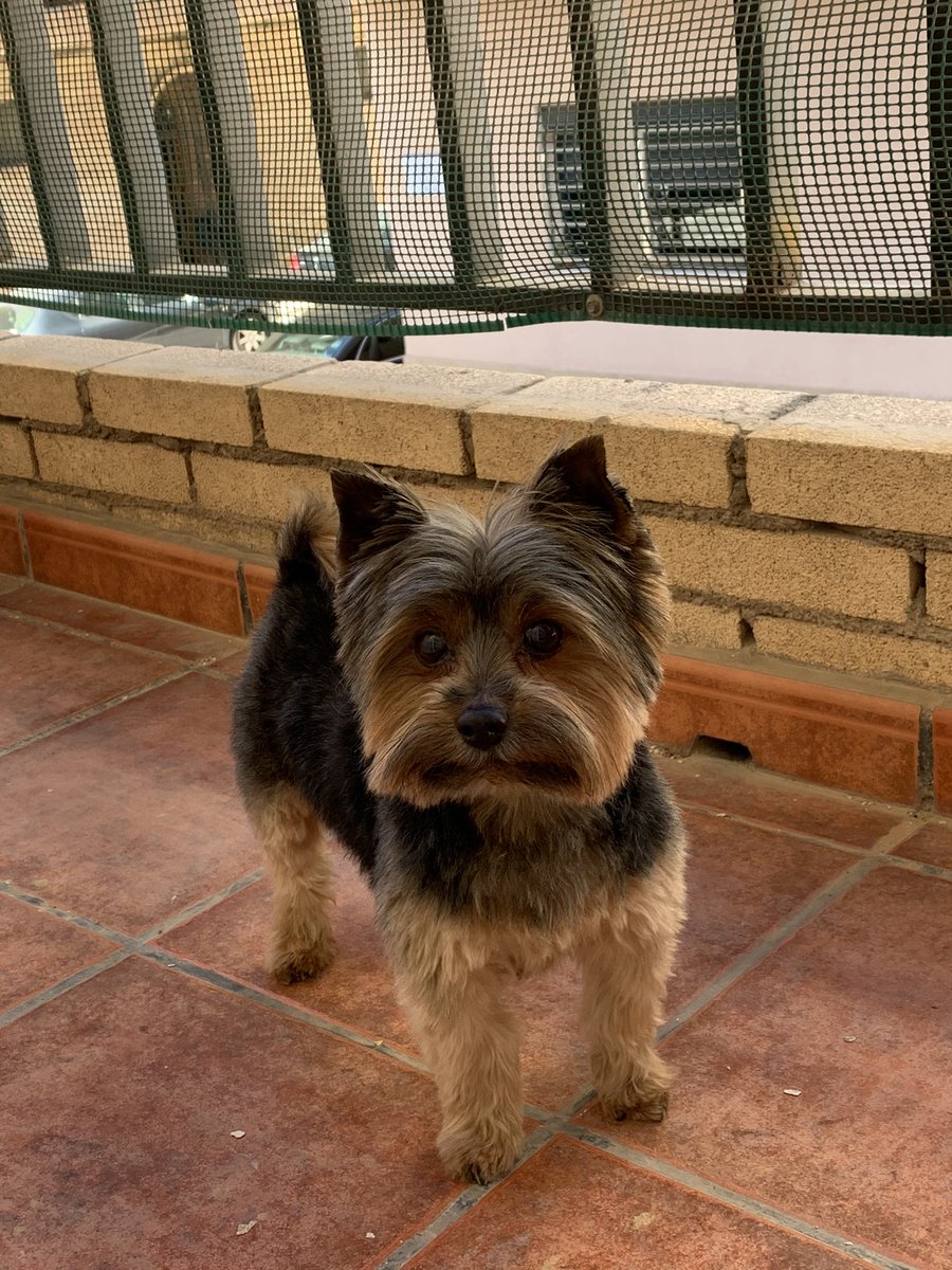 mardiaz0's tweet photo. son los más guapos https://t.co/bVytdfFnvY