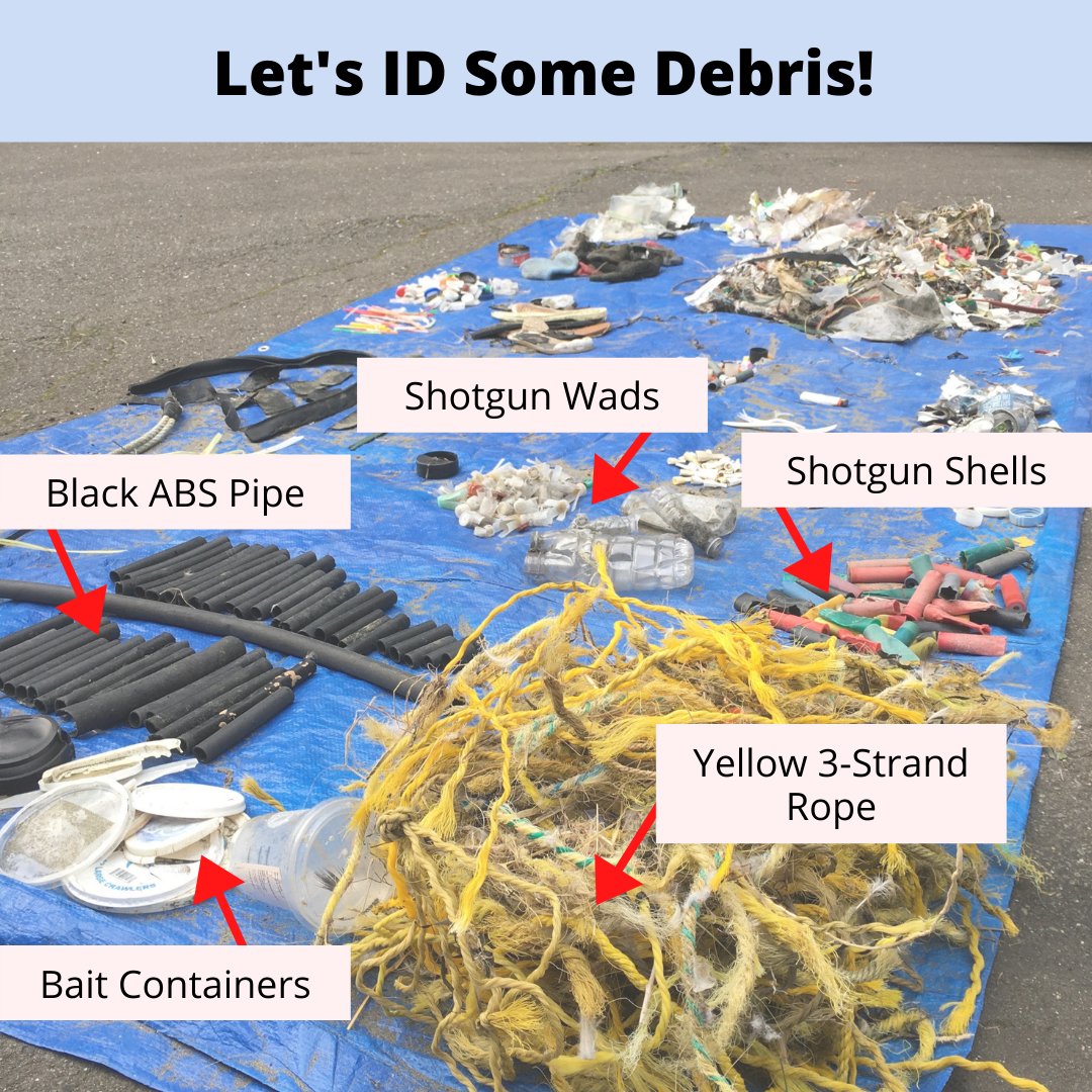 Welcome to Debris ID. Each week we'll take a look at some of the common trash items on Humboldt beaches and learn how to identify them. 

If you've got photos of debris that you'd like to share, please email them to ivynecmail@gmail.com. 

Photo credit: NEC volunteers Kim &amp; Stan.