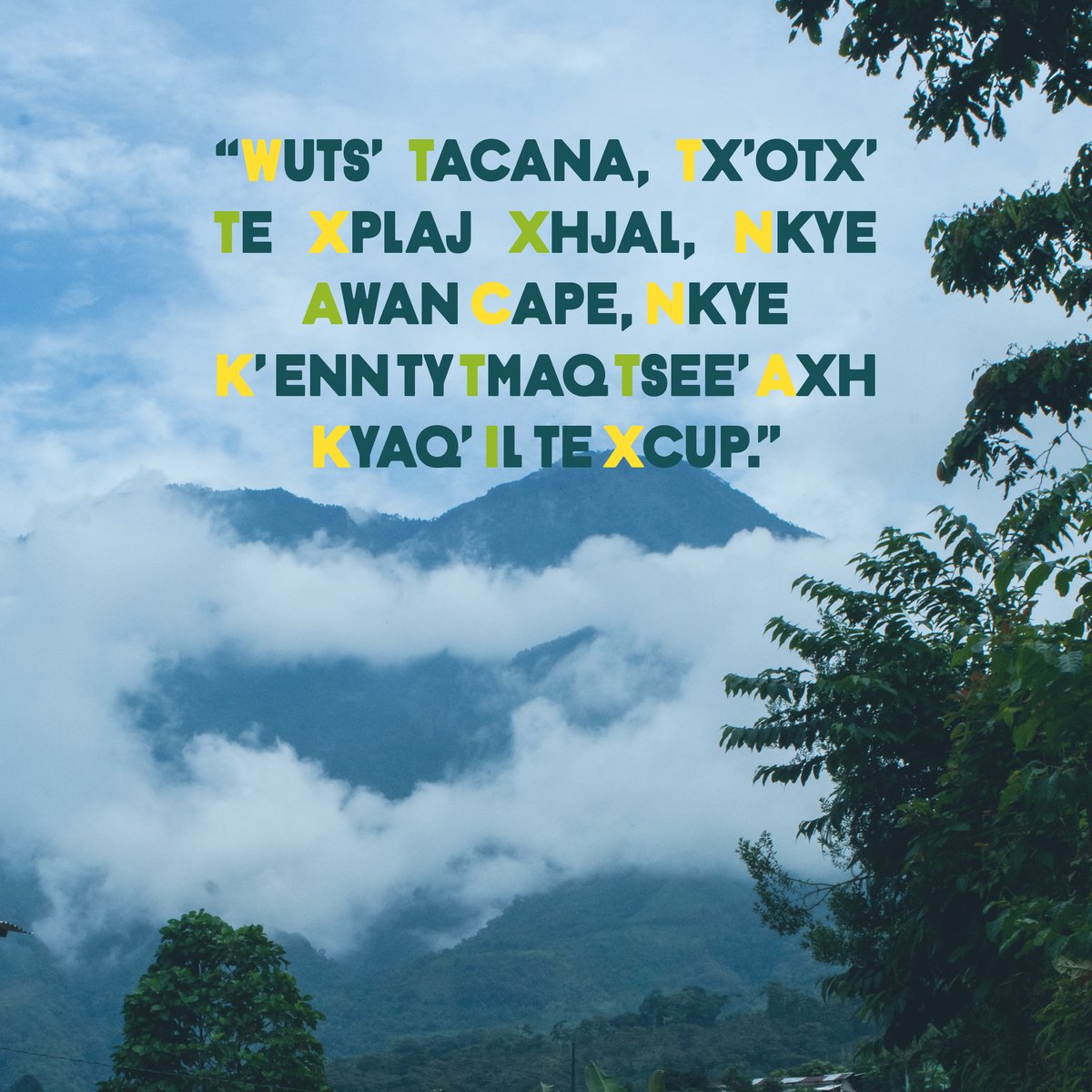 Rainforest Alliance Mx 🇲🇽 tweet media