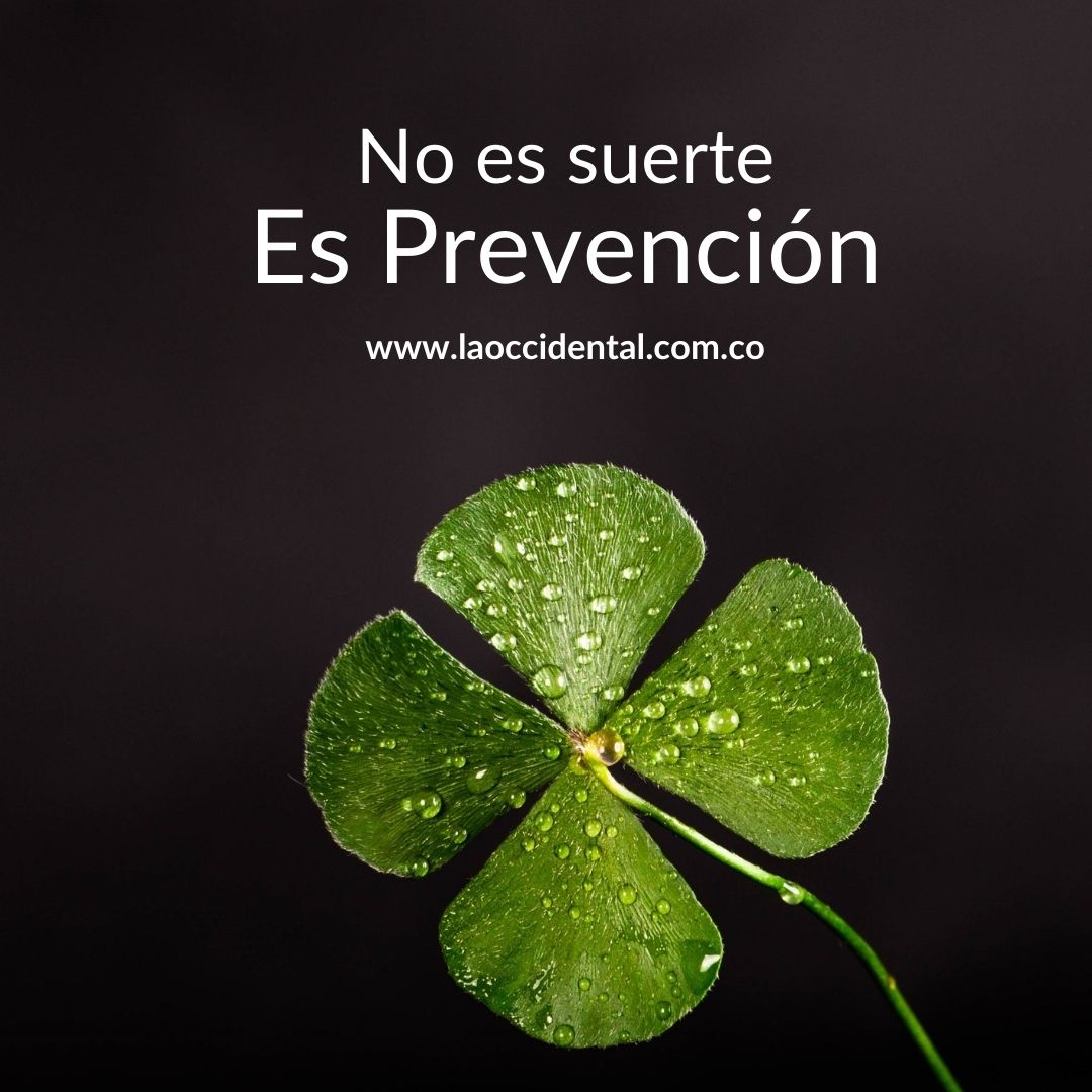 ☝🏼Dicen que la vida es 10% lo que te sucede y 90% cómo reaccionas a eso.🤔 Qué tal estar preparado?

🙋🏻‍♀️🙋🏽‍♂️Nosotros somos el asesor para la prevención que necesitas👌🏻
#sanpatricio #saintpatricksday #17marzo #prevencion #seguros #riesgos #accidentes #colombia