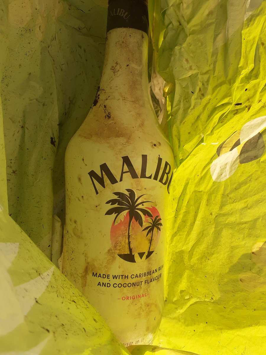 Doxey marshes walk. Lots of flying insects about. Different route today, not quite Malibu weather but it's getting warmer ☀️. #litterpick