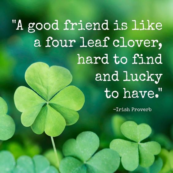 haltonopenforum's tweet photo. Happy St. Paddy’s Day @haltonopenforum  ! Cheers to you all!  Thank you for your continued support. 🍀🍀🍀🥂🍾 https://t.co/RBbjb8yisQ