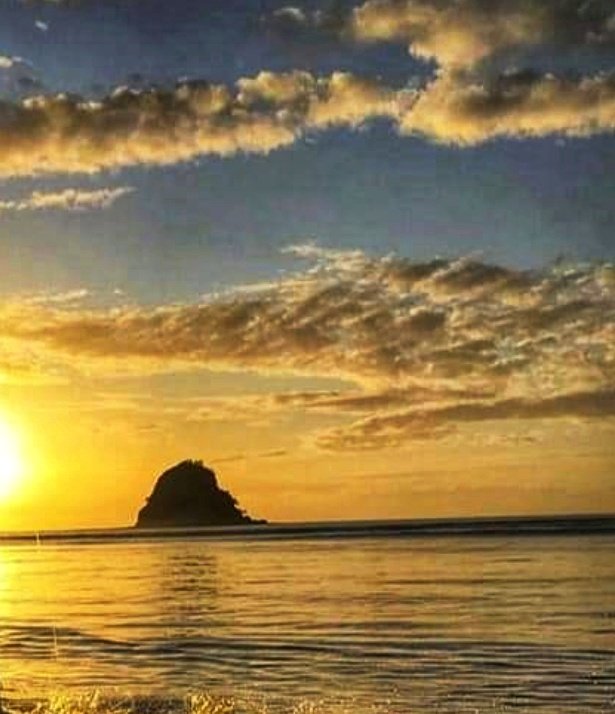 daphnesargent's tweet photo. @CrowdedHouseHQ
Just ONE more sleep . . .
#CrowdedHouse 
Counting down the hours
Thank you New Zealand!!! Absolutely luv luv luv there's no #COVID19 in the Community on the Island of the Long White Cloud!!
#aotearoa2021 https://t.co/VYVG25mCWb