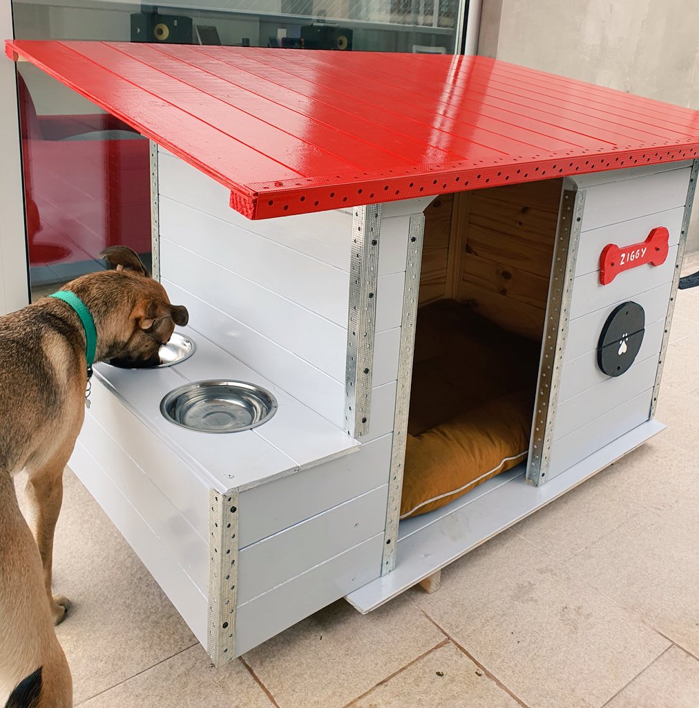 SeikaCroft's tweet photo. Ziggy es oficialmente un perrito con obra social y propietario. 
Por si alguien mas tenia ganas de bardearme por como cuido a mi perro 💅 . https://t.co/ZtzCOnKt8X