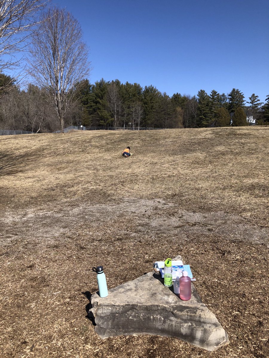 MrsWroeQEPS's tweet photo. Outdoor learning = space for thinking and learning and collaboration #projectwild #RCDSBexperientiallearning @eganvilleps #rcdsb https://t.co/ukwzlhYdgj