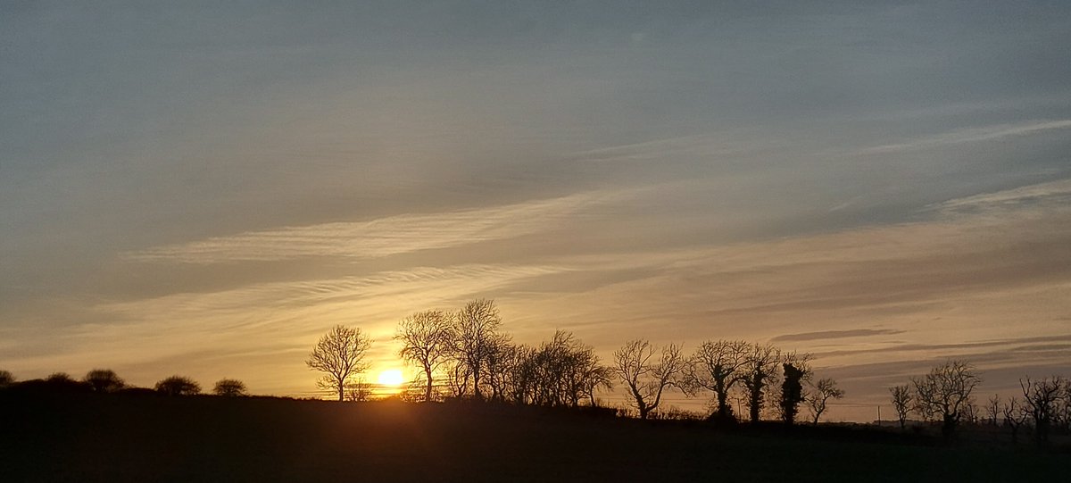 udemsar's tweet image. Luminous evening #LockdownWalk