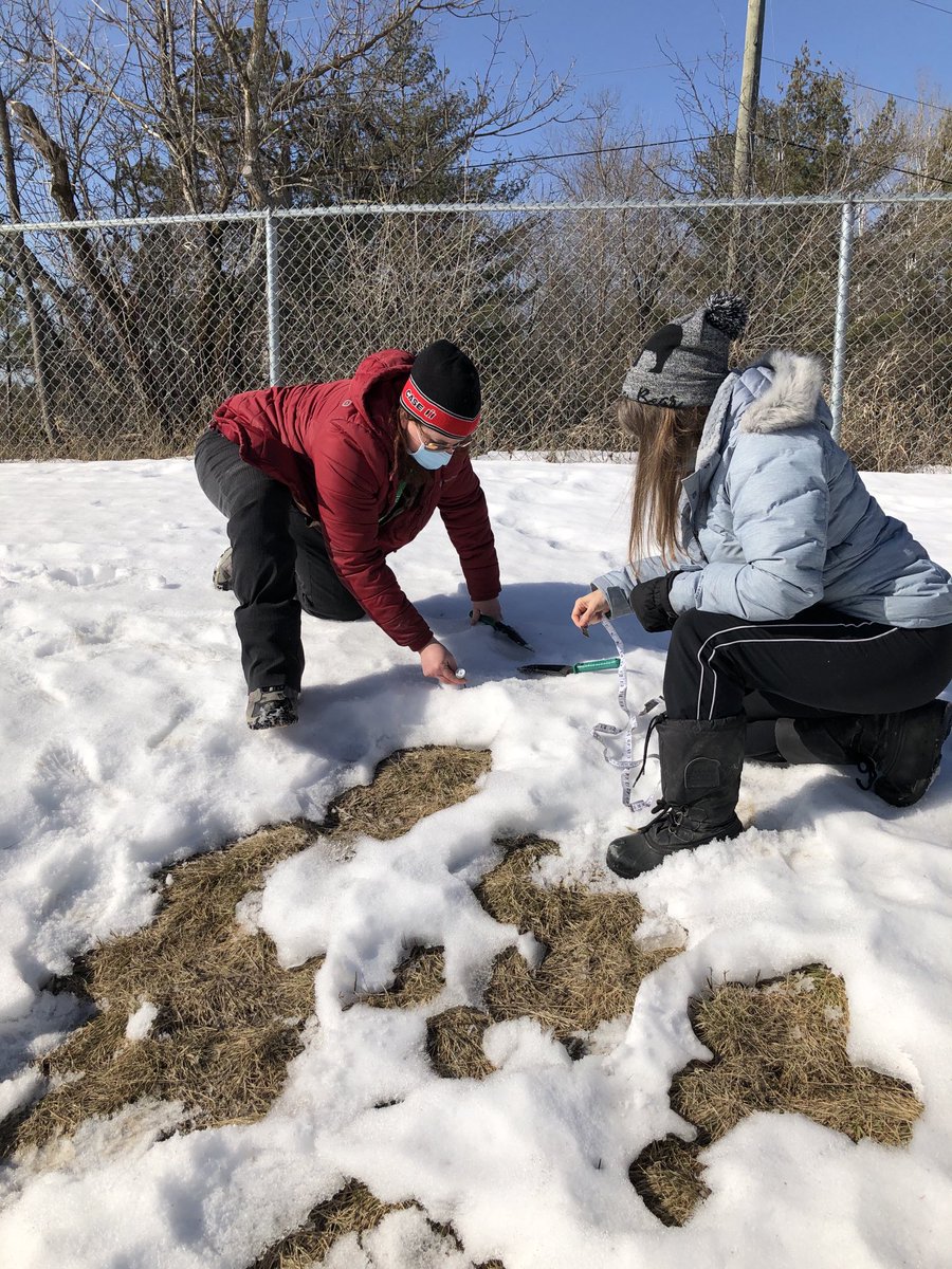 3 days + 3 schools #projectwild continues to spread throughout #rcdsb and #inspiredlearning #outdoorlearning with <a href="/cwf/">cwf</a>-fcf with ⁦<a href="/eganvilleps/">EganvillePS</a>⁩ ⁦<a href="/RocknFraser/">Patricia Fraser</a>⁩ ⁦<a href="/JaneGood178/">Jane Good</a>⁩