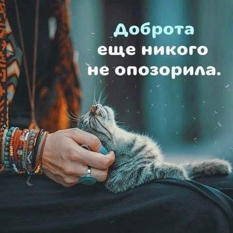 KievYulia's tweet photo. https://t.co/ehMJuOco5C
