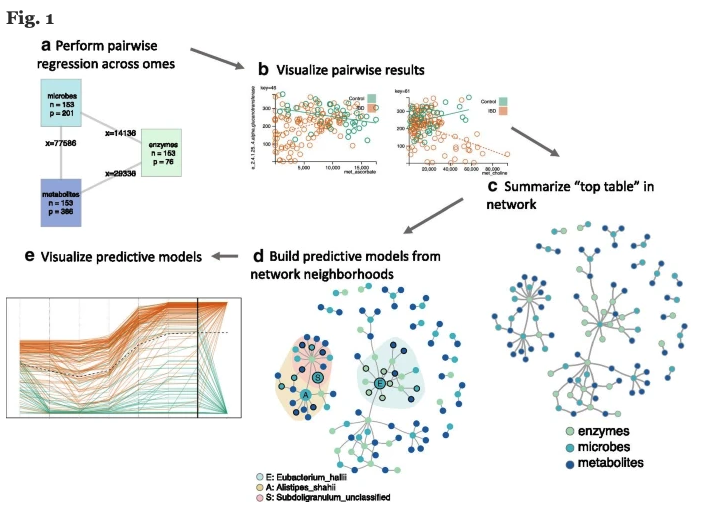 LozuponeLab's tweet photo. New microbiome software from Janet Siebert + Gorg Lab + Lozupone lab "CANTARE: finding and visualizing network-based multi-omic predictive models". #microbiome #omics #research #science

https://t.co/dIHOXmaR8M https://t.co/323WcBWM5l