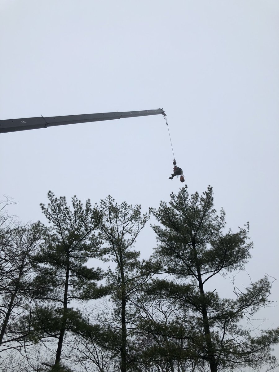 ZooCody's tweet photo. Parts of Zoo work you normally don’t see; cranes moving trees/perching into exhibits. Big thanks to our Horticulture team and Madison Tree, now our Bald Eagles have some new furniture! #birdsareawesome @CincinnatiZoo https://t.co/XZgwvgsQev