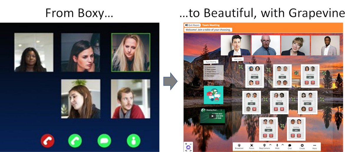 Grapevine Network tweet media