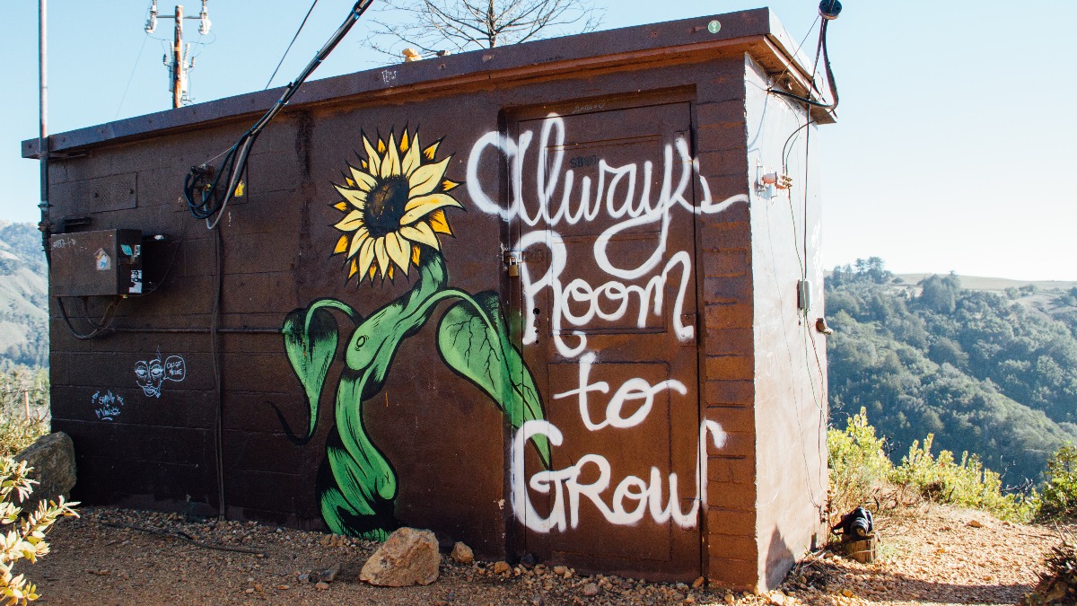 Message of the day: Remember there is always room to grow. 

#WednesdayWisdom
