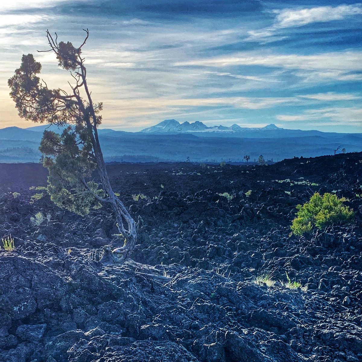 Aus Liebe zum Reisen:

10 Tage
10 Fotos
Keine Erklärung

5/10 Oregon, 🇺🇸 

Nominiert von <a href="/TravelExper/">TravelExperience.ch</a>