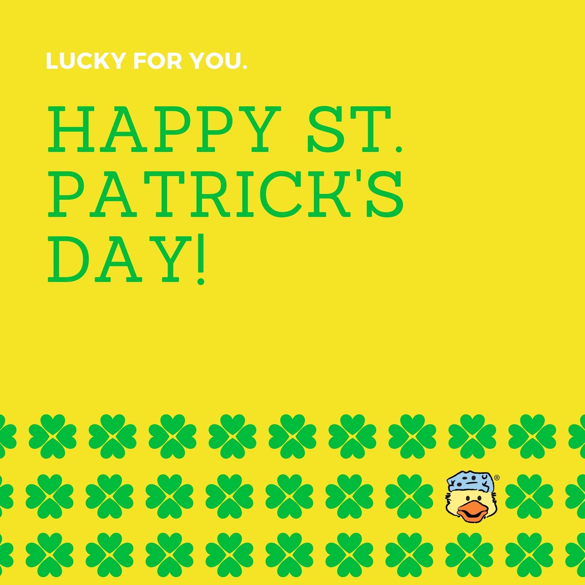 ChemoDuck's tweet photo. Today and every day we are so LUCKY for our Huggable Hope! π How are you and your Chemo Duck celebrating today? #ChemoDuck #HuggableHope #StPatricksDay #Lucky https://t.co/6EQISr1HNN