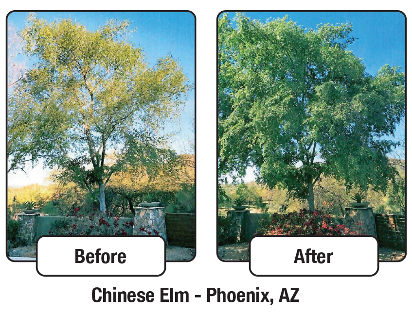 Meet Zeitgeist™ the latest addition to the #GrowthPack line!  As a supplement to your tree fertility program, Zeitgeist™ encourages water &amp; nutrient uptake in trees to enhance growth &amp; promote stress tolerance. #PerformancePack #HealthyTrees  #PartnerUp bit.ly/3vCmkUz