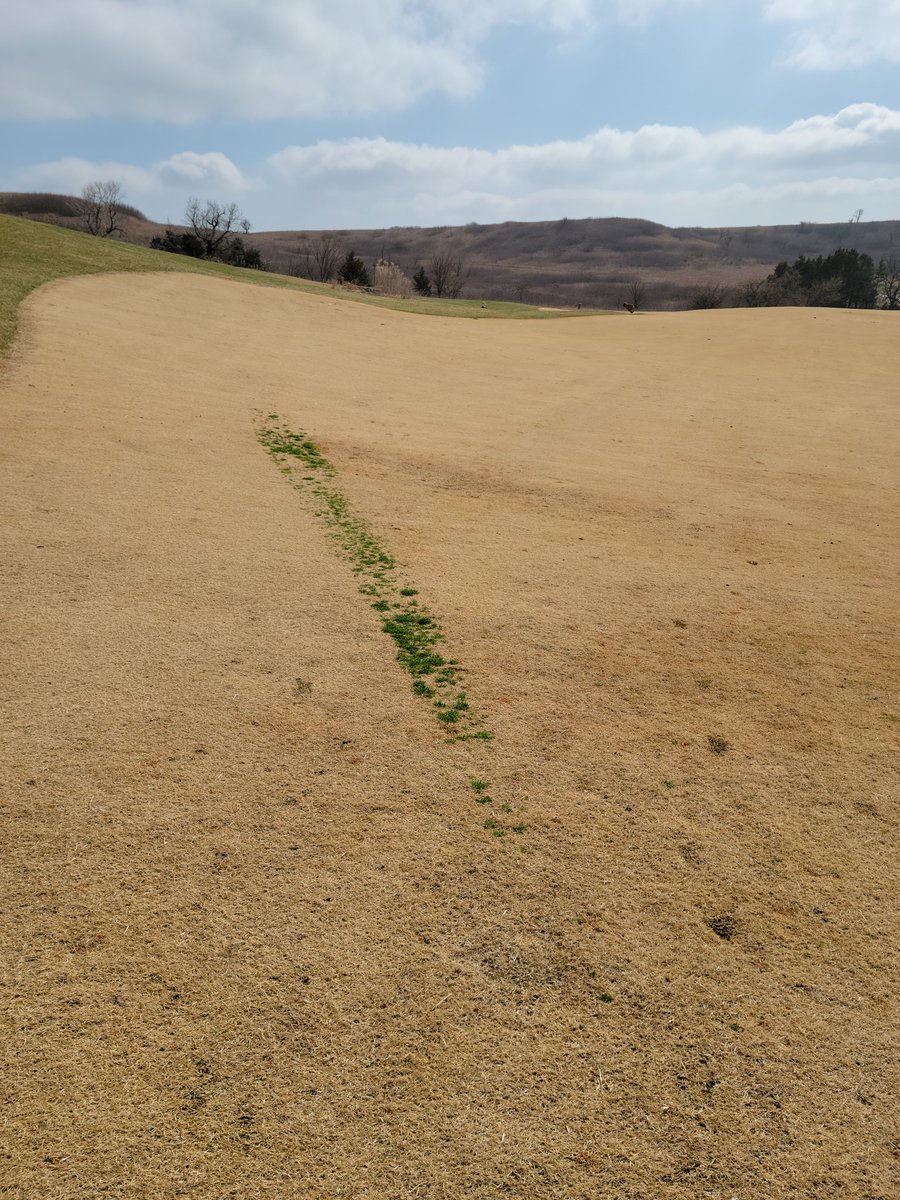 Matt Gourlay, CGCS, MG, AGS tweet media