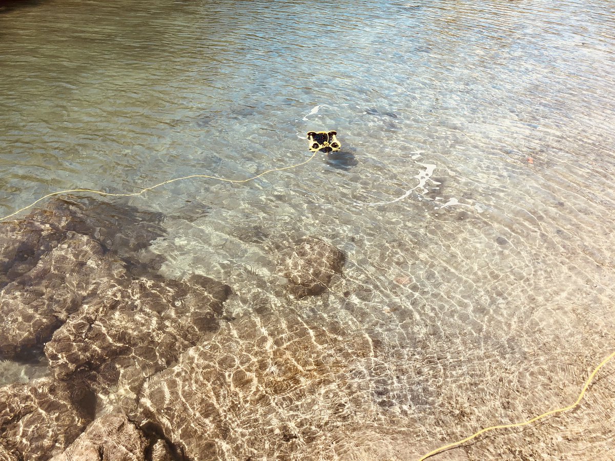 Work. <a href="/ReefInstituteFL/">The Reef Institute</a>